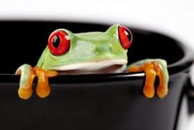 How To Stop Boiling A Frog With Excel BOM Management