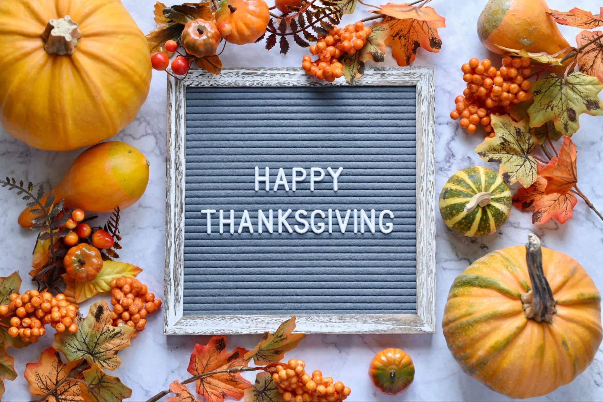 Happy Thanksgiving and Thank you!