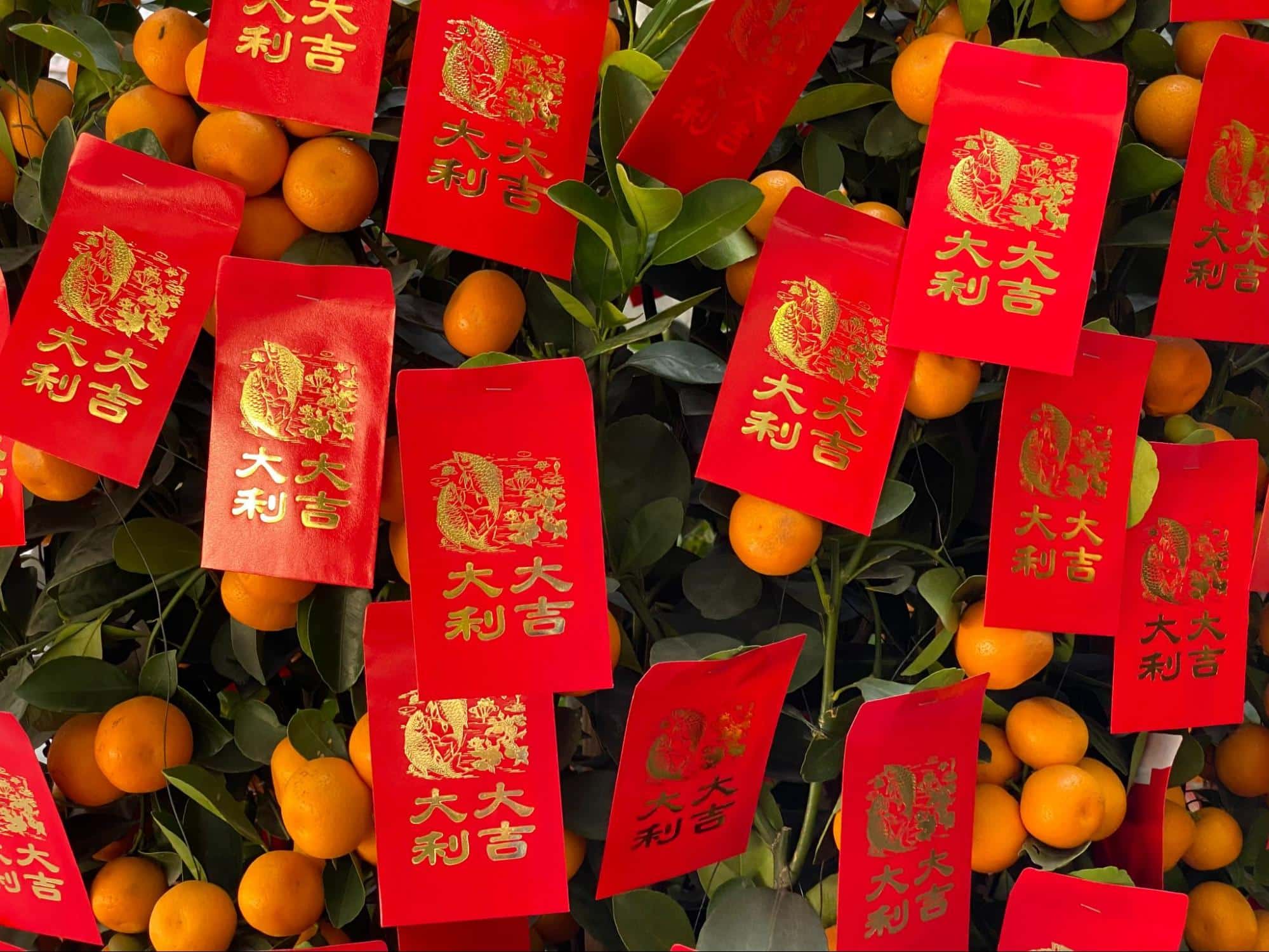 How to Handle your Supplier During the Chinese New Year?